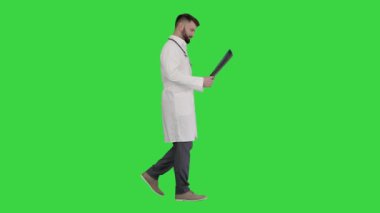 Tıbbi doktor yürüyor ve yeşil ekrandaki akciğerlerin röntgen fotoğrafına bakıyor, Chroma Key.