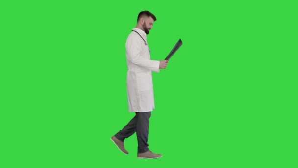 Medico a piedi e guardando l'immagine a raggi X di polmoni su uno schermo verde, Chroma Key. — Video Stock