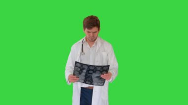 Konsantre olmuş erkek doktor, yeşil ekranda yürürken bilgisayarlı tomografiyi inceliyor..