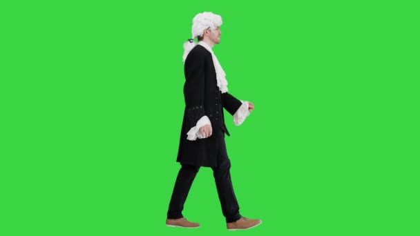 Mann in altmodischem Gehrock und weißer Perücke, der auf Manieren wandelt und auf einem Green Screen in die Kamera blickt, Chroma Key. — Stockvideo