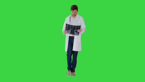 Médico masculino concentrado examinando tomografia computadorizada enquanto caminhava em uma tela verde, Chroma Key. — Vídeo de Stock