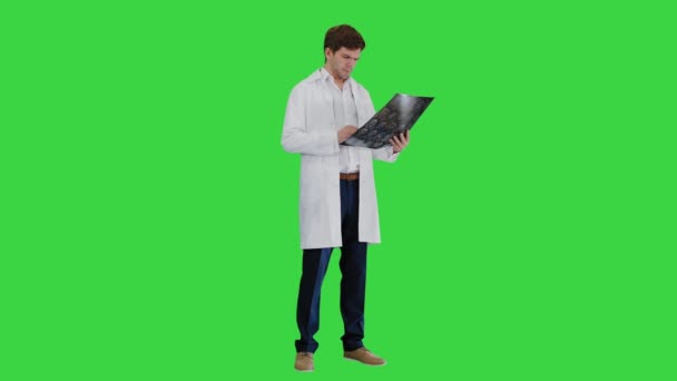 Férfi orvos ellenőrzi a komputertomográfiát, és keres valakit, aki jóváhagyja a zöld képernyőn, Chroma Key. — Stock videók