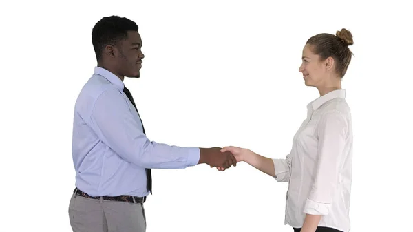 专业商人在白人背景下握手. — 图库照片