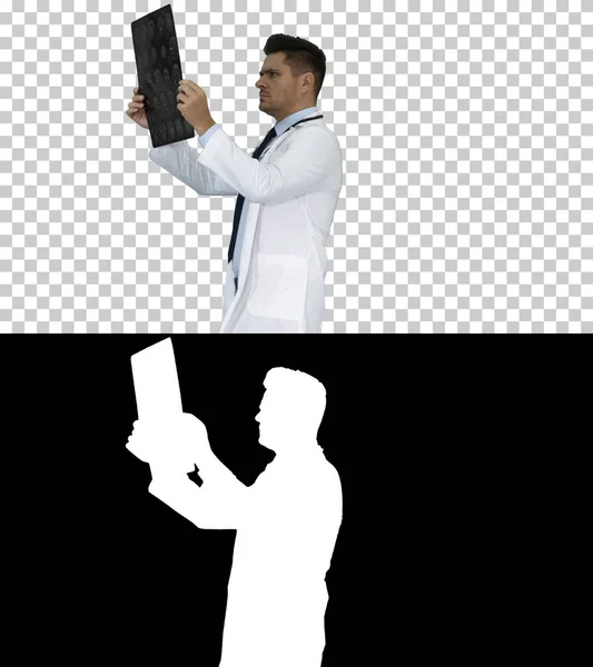 Zdravotnický personál v bílém plášti, prohlížení rentgenového rentgenového snímku, CT sken, mri při chůzi, alfa kanál — Stock fotografie