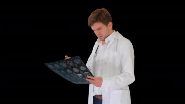 脳のコンピュータ断層撮影法を調べる欲求不満な男性医師アルファチャンネル — ストック動画