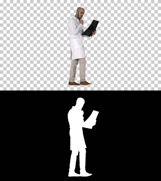 Young male physician reading and reviewing a MRI brain scan while walking, Alpha Channel — Stock Photo, Image