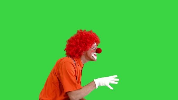 Clown prowling and making be quiet gesture to camera on a Green Screen, Chroma Key. — Stock Video