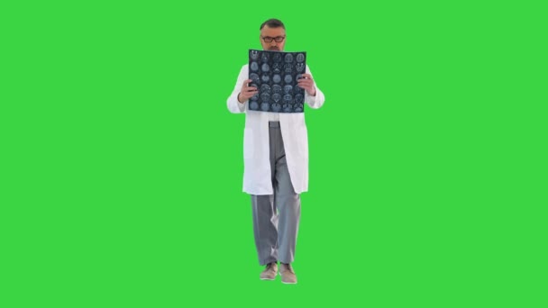 Reifer Arzt beim Gehen und Überprüfen eines MRT-Gehirnscans auf einem Green Screen, Chroma Key. — Stockvideo