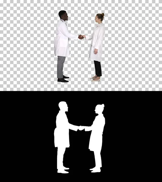Prazer em conhecê-lo Médicos se encontram e apertam as mãos, Alpha Channel — Fotografia de Stock