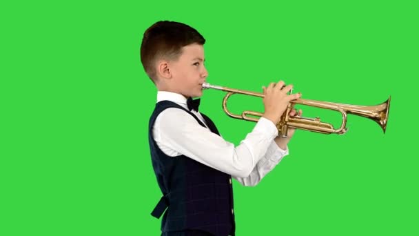 Young boy in a bow tie playing the trumpet swaying from side to side on a Green Screen, Chroma Key. — Stock Video