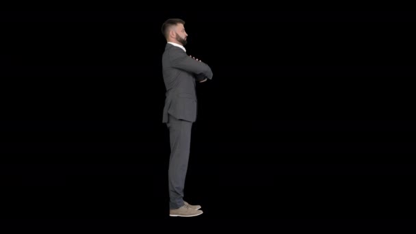 Homem de negócios confiante com barba e bigodes de terno de pé com as mãos dobradas, Canal Alpha — Vídeo de Stock