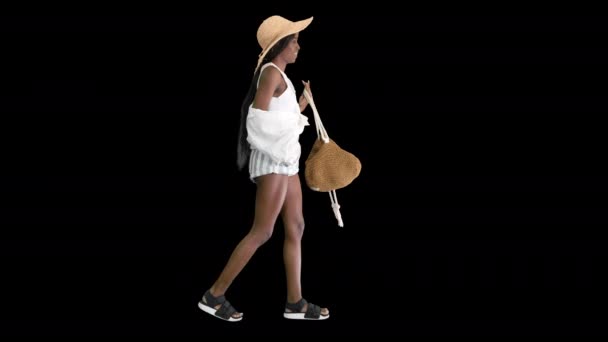 Summer in the city Beautiful african american woman walking on the street, wearing fashionable bag, Alpha Channel — Stock Video