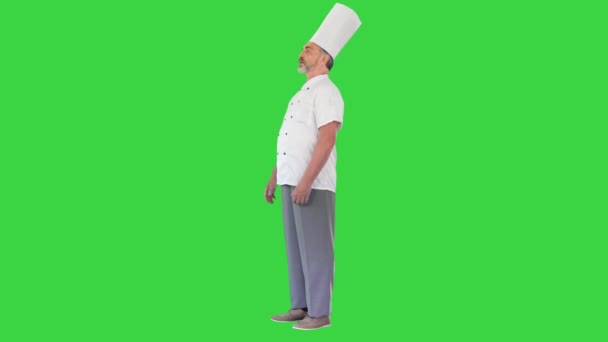 Usmívající se kuchař vítá hosty ve své restauraci na zelené obrazovce, Chroma Key. — Stock video