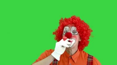 Komik palyaço Yeşil Ekran 'da pipo üflüyor, Chroma Key.