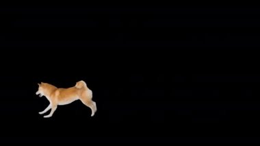 Shiba Inu, Alfa Kanalı 'nda futbolun peşinde.