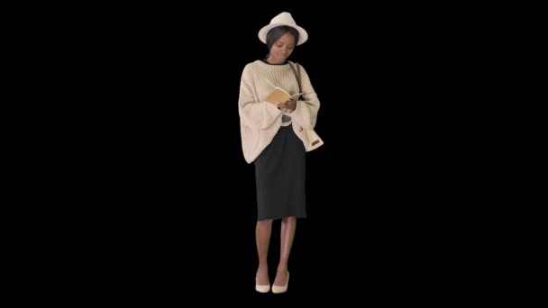 Uma mulher afro-americana bonita com camisola de malha e chapéu a escrever no bloco de notas, Canal Alfa. — Vídeo de Stock