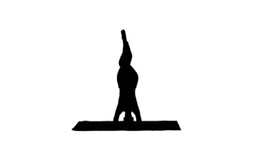 Siluet. Güzel genç bayan yoga egzersizi yapıyor.