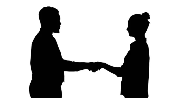 Профессиональные бизнесмены пожимают друг другу руки. — стоковое фото