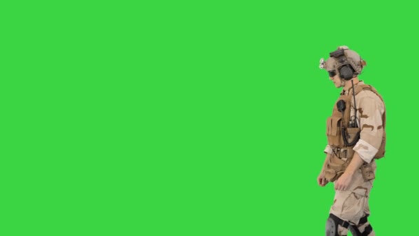 US Army rangers walking by on a Green Screen, Chroma Key. — Stock Video