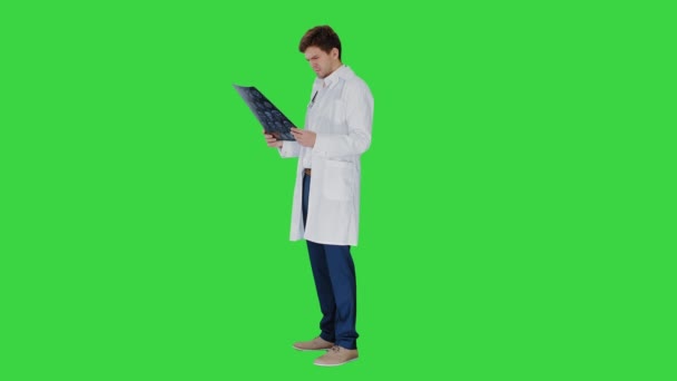Konsantre olmuş erkek doktor, hesaplanmış tomografi röntgenine bakıyor. Yeşil Ekran, Krom Anahtar 'da.. — Stok video