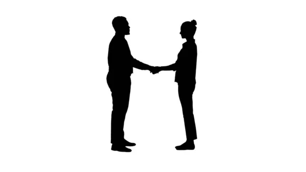 Silhueta Profissionais de negócios handshaking. — Fotografia de Stock