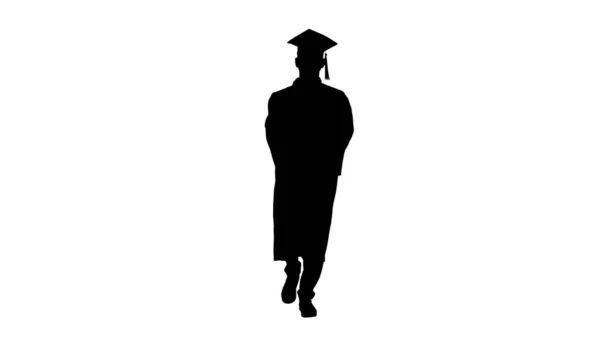 Excited graduate student walking with diploma, Alpha Channel — Stock Photo, Image