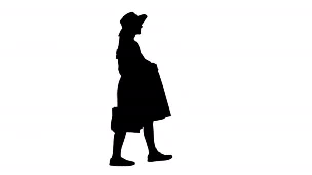 Έγκυος γυναίκα με καλοκαιρινά ρούχα περπατώντας με τσάντες ψώνια, Alpha Channel — Αρχείο Βίντεο