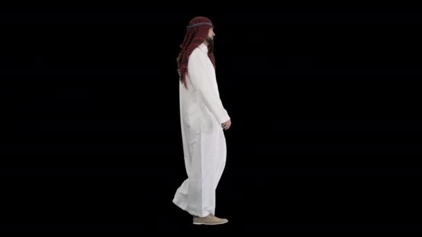 Sheikh serio dando un paseo, Canal Alfa — Vídeo de stock