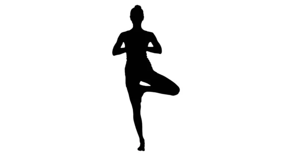 Silhouette Tree Pose, auf einem Bein stehend, die Hände in Namaste, pra — Stockfoto