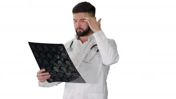 Physician reading and reviewing a MRI brain scan on white background. — Stock Video