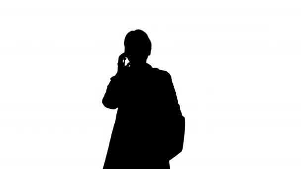 Piękna ciężarna kobieta rozmawiająca przez telefon podczas spaceru, kanał Alfa — Wideo stockowe