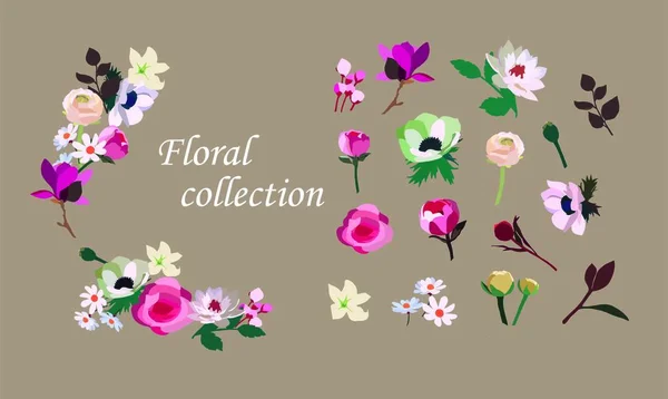 Tasarımınız için vektör elementlerinin güzel çiçek koleksiyonu