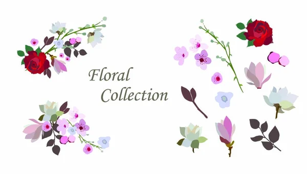 Tasarımınız için vektör elementlerinin güzel çiçek koleksiyonu