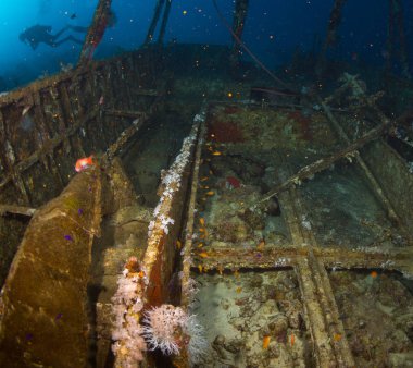 Red Sea yakınındaki Sharm El Sheikh, Mısır Resifi'nde Tarih Glassboat batık