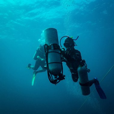 Koh Tao adası yakınlarında dalgıçlar sualtı