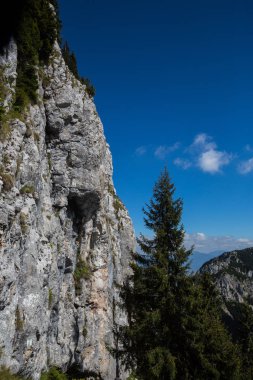 Romanya'da güzel dağlar manzara