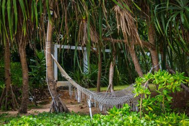 Hamak Sri Lanka beach
