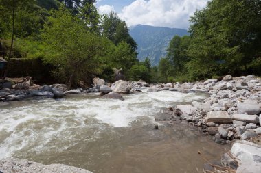 Nehir kenarında Manali Hint Himalayalar
