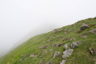 Karpat dağları, Ukrayna'da muhteşem manzara