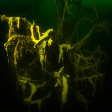 Ukrayna nehrin dibini doğası