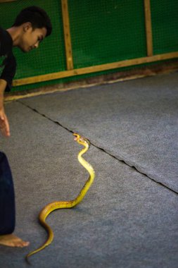 Tayland ada keşfetmek doğal görünümü