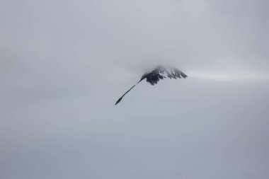 Norveç Milli Parkı Jotunheimen peyzaj