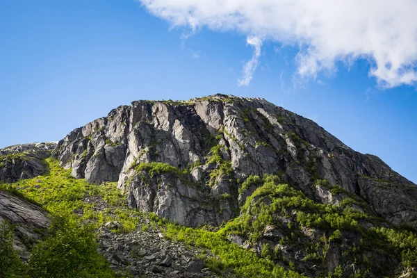 Hermoso Paisaje Verano Parque Nacional Folgefonna Noruega —  Fotos de Stock