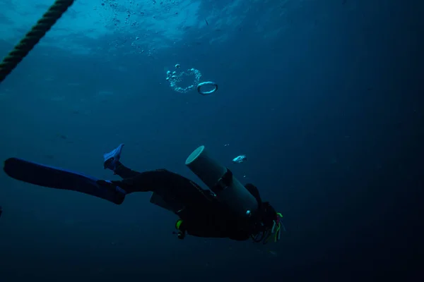 Mergulhador Subaquático Perto Ilha Koh Tao — Fotografia de Stock