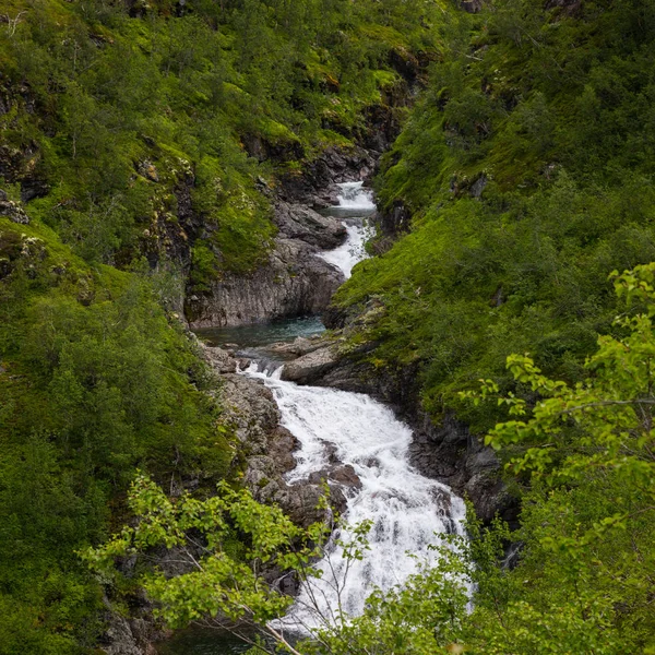 Görkemli Şelale Yeşil Bitki Örtüsü Jotunheimen Milli Parkı Norveç — Stok fotoğraf