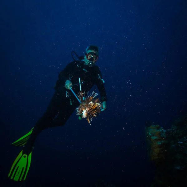 Underwater Mexico — Stock Photo, Image