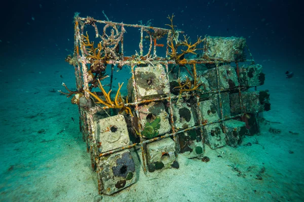 Unterwasser Schuss Auf Meeresboden — Stockfoto