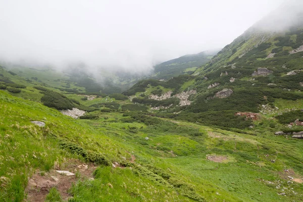 Vista Brumosa Cordillera Montenegrina —  Fotos de Stock