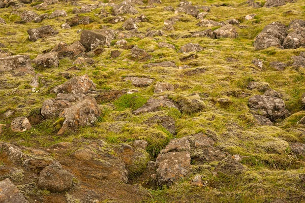 Texturen Den Isländska Bergen Reykjanesfolkvangur — Stockfoto