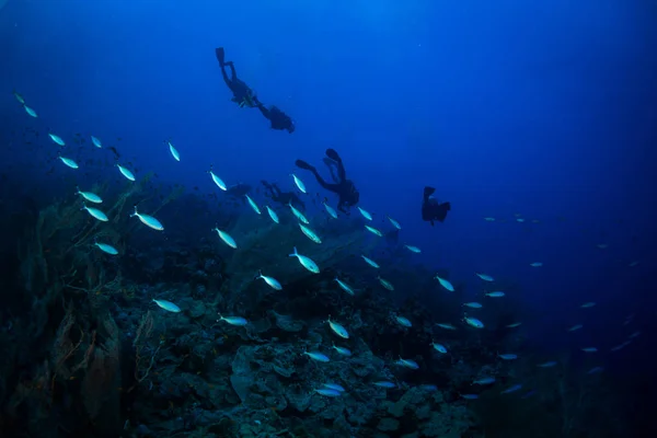 Dykare Reaf Röda Havet — Stockfoto